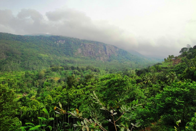 Sri Lanka, Sinharaja